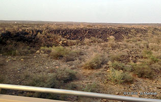 to Madinah